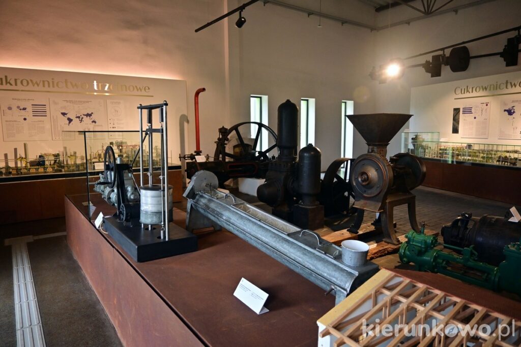 cukrownictwo wystawa muzeum szreniawa