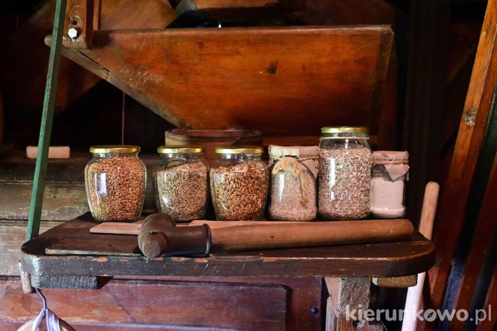 muzeum młynarstwa w osiecznej wnętrze wiatraka drewnianego koźlaka rodzaje zbóż