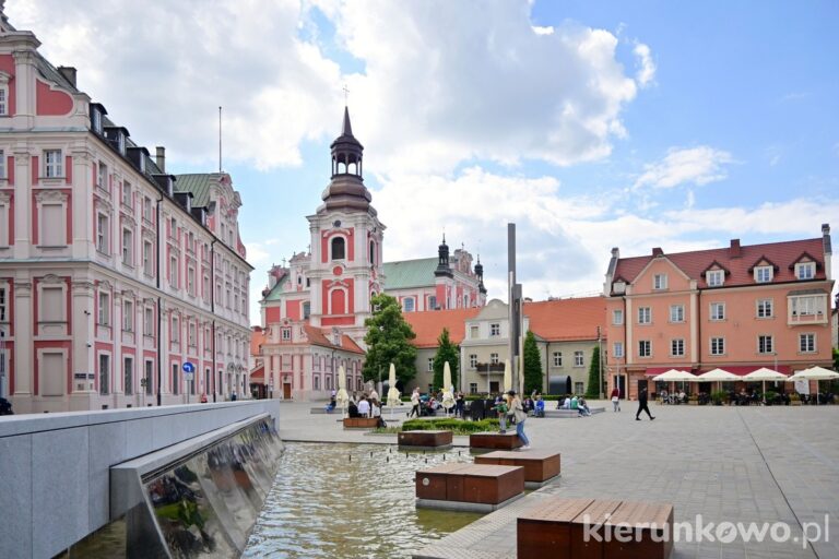 fontanna plac kolegiacki poznań poznań atrakcje co zwiedzić w poznaniu