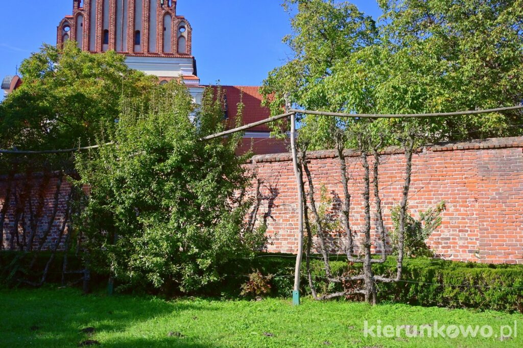 ogrody klasztorne lubiń opactwo opactwo benedyktynów w lubiniu lubiń
