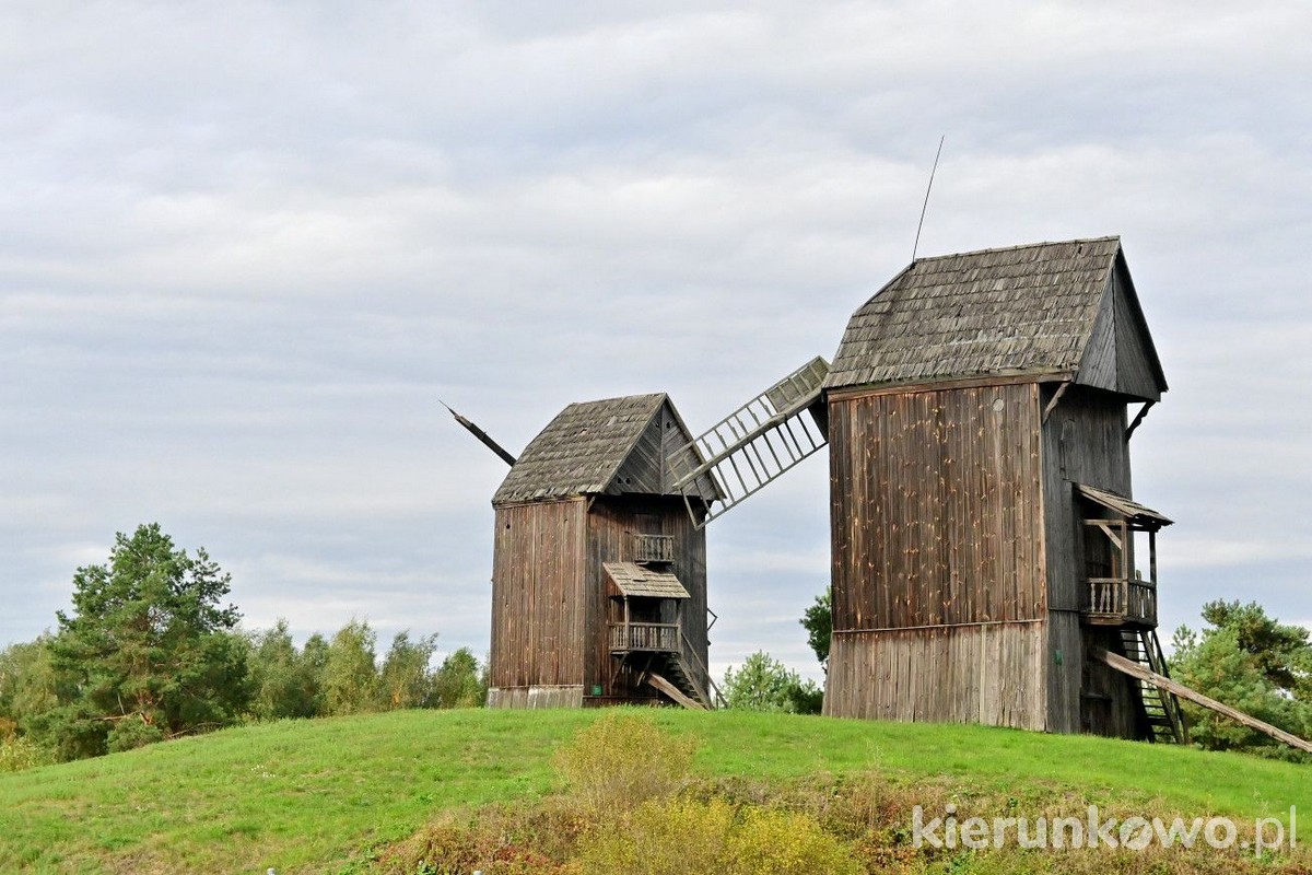 Wiatraki w Moraczewie koźlak skarby architektury drewnianej