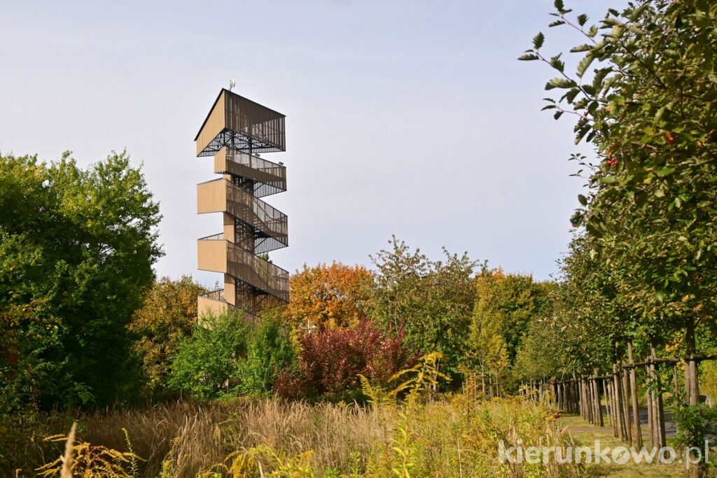 Wieża widokowa na Szachtach w Poznaniu park szachty w poznaniu