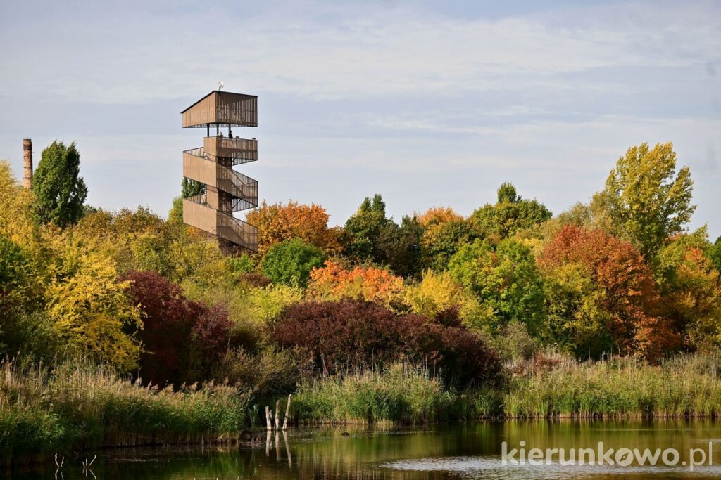 park szachty w poznaniu jesień złota jesień piękna kolorowe liście wieża widokowa poznań