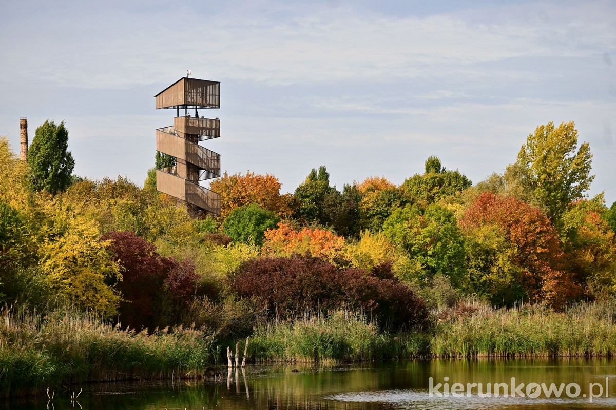 park szachty w poznaniu jesień złota jesień piękna kolorowe liście wieża widokowa poznań poznań atrakcje
