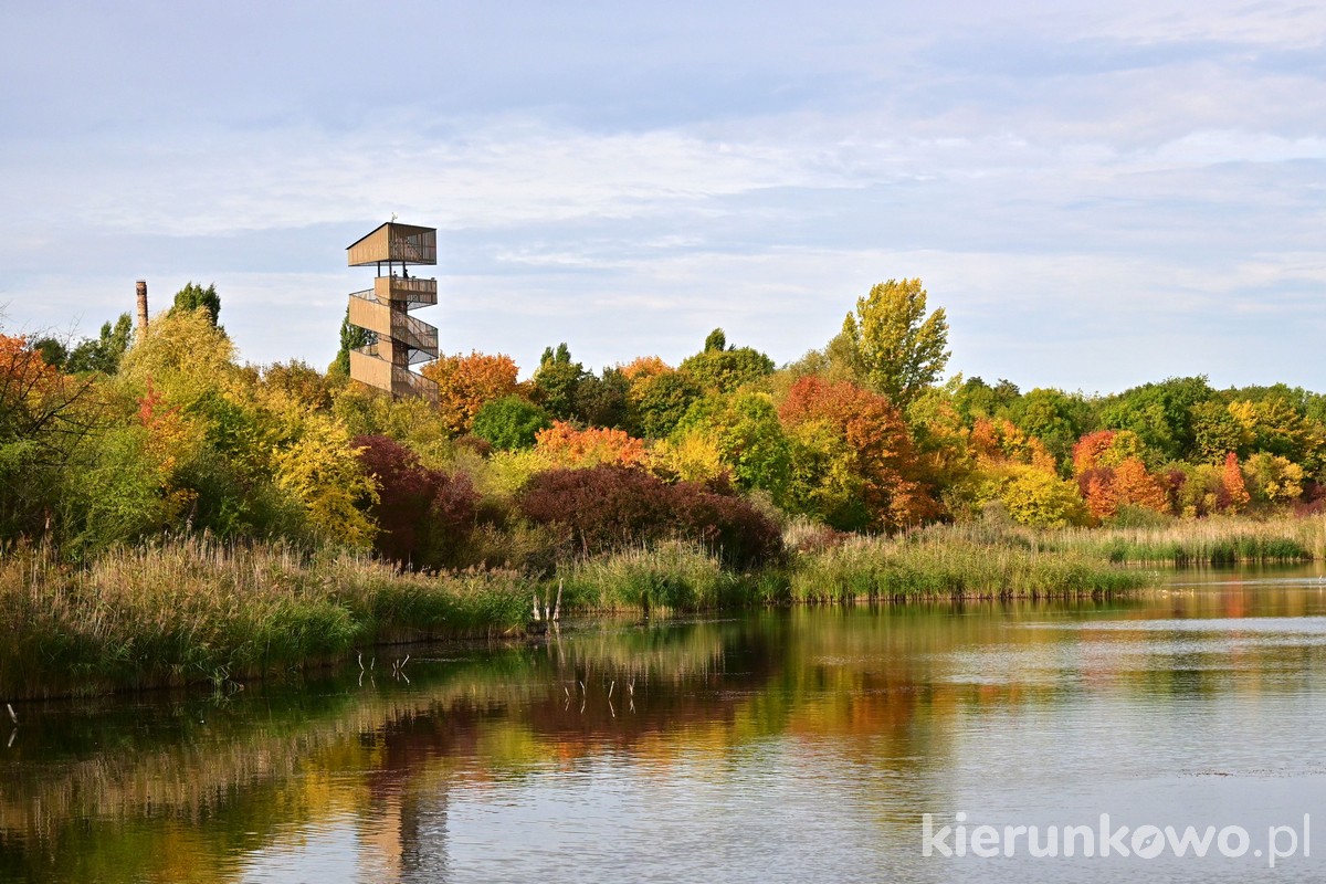 park szachty w poznaniu glinianki świerczewo kotowo wieża widokowa jesień kolorowe liście złota polska jesień widok