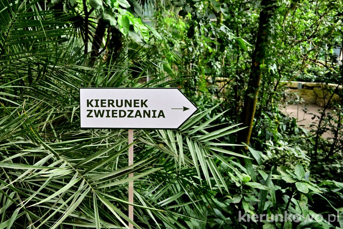 kierunek zwiedzania palmiarnia poznańska
