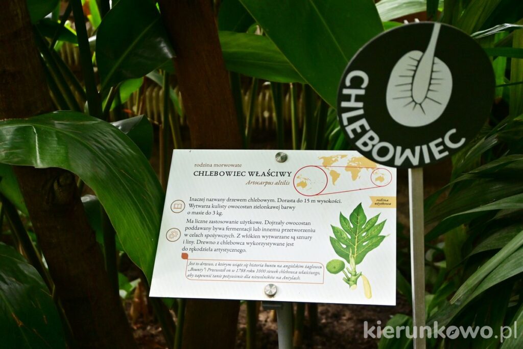 tablica informacyjna informacja turystyczna palmiarnia w poznaniu