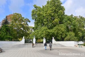 wejście głogowska w park wilsona w poznaniu