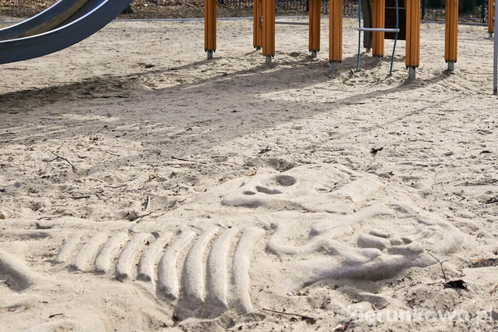 plac zabaw w poznaniu archeologia szkielet dinozaura
