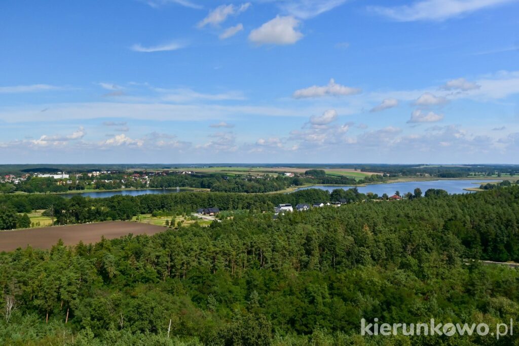 widok na osieczną z wieży widokowej jagoda II jezioro łoniewskie