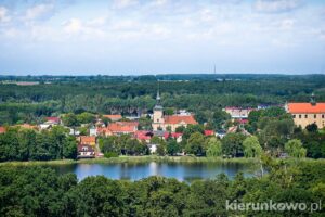 osieczna widok na miasto z wieży widokowej jagoda ii jezioro łoniewskie