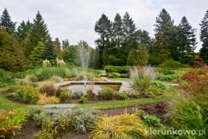 ogród botaniczny w poznaniu dział roślin ozdobnych