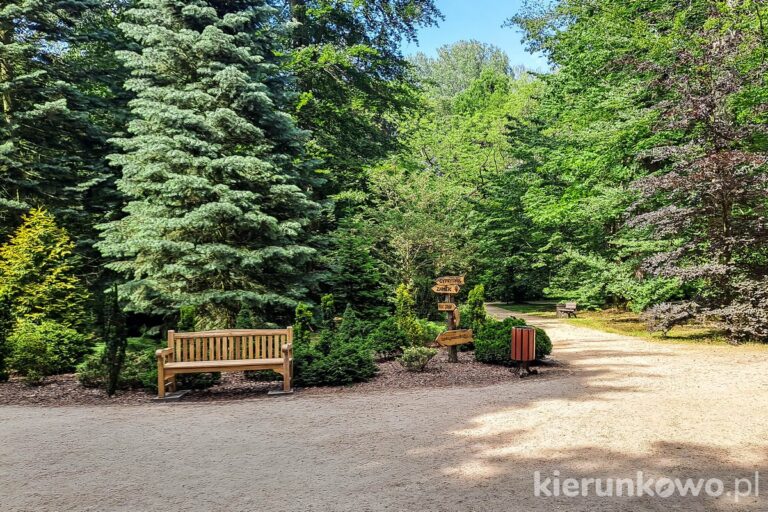 park w kórniku ławka ścieżki