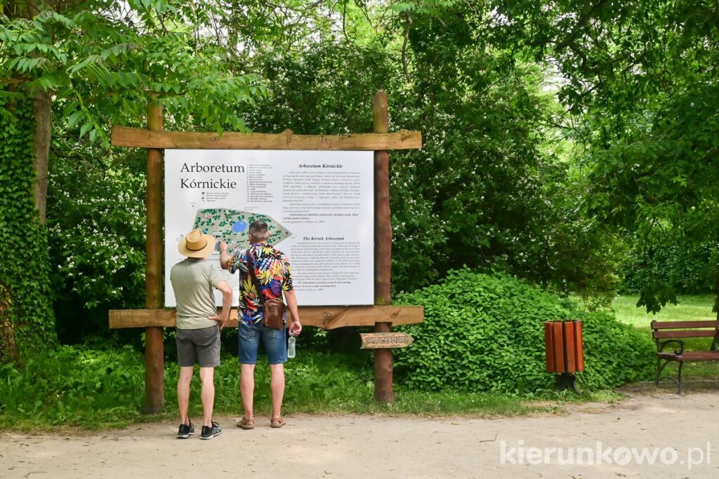 tablica informacyjna mapa arboretum kórnik