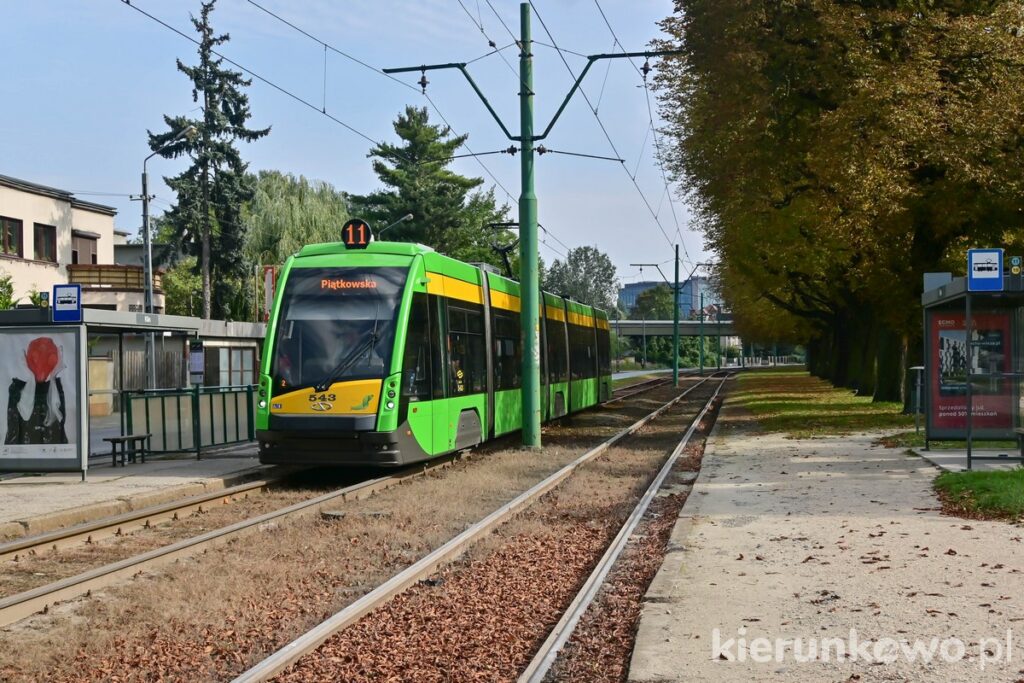komunikacja miejska w poznaniu poznańskie tramwaje solaris tramino