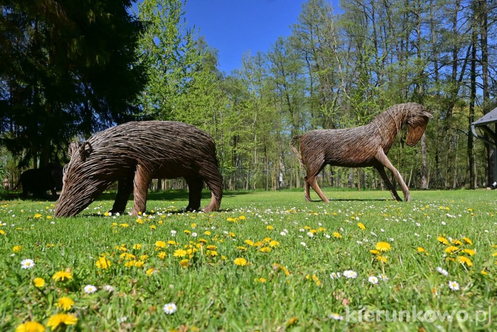 świnia dzik z wikliny koń rzeźba muzeum nowy tomyśl