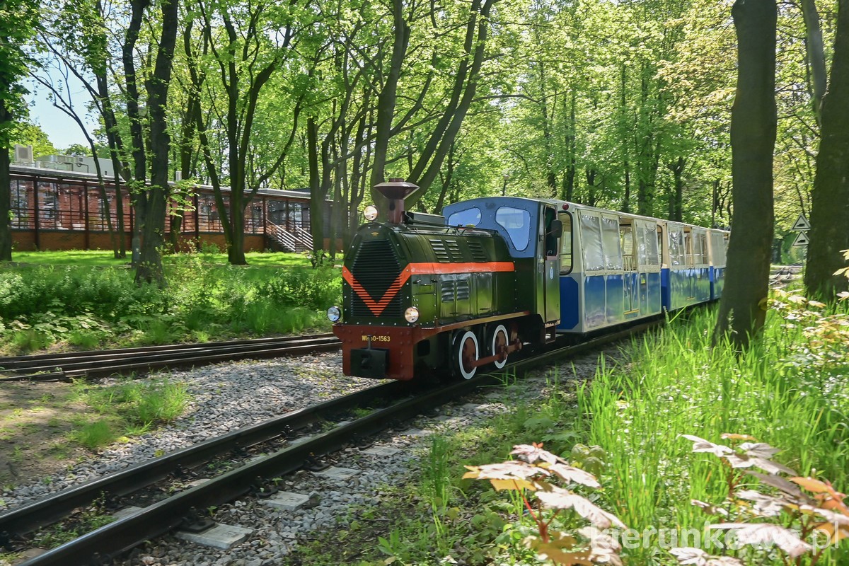 parkowa Kolejka MALTANKA w Poznaniu kolejka dla dzieci rodzinna lokomotywa rozstaw 600 mm kolejka do zoo