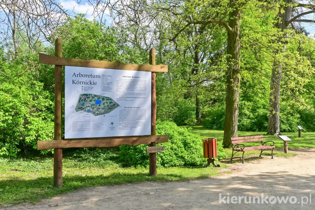 mapa Arboretum w Kórniku tablica ławka w parku