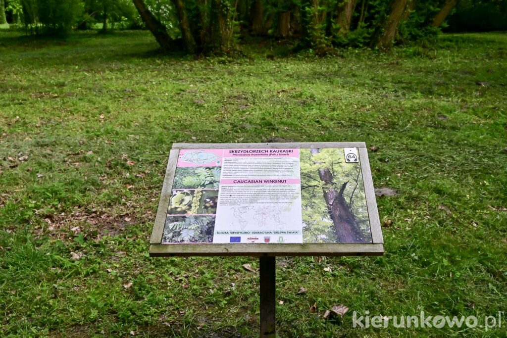Arboretum w Kórniku tablica informacyjna