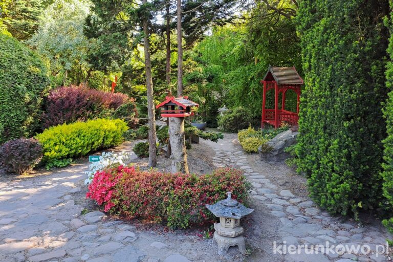 ogród japoński ogrody tematyczne hortulus dobrzyca