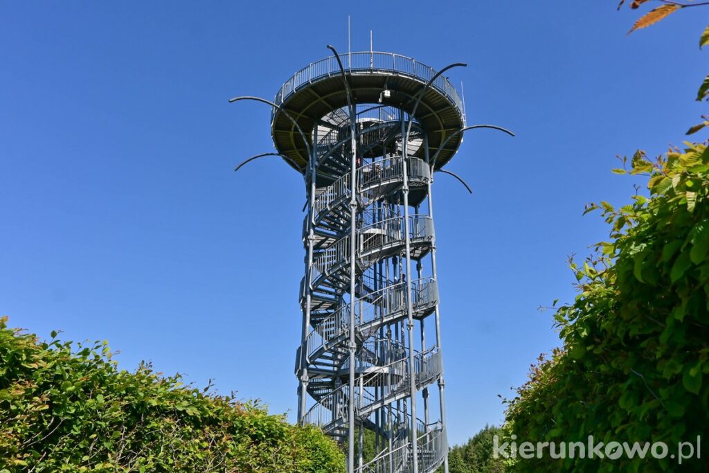 wieża widokowa ogrody hortulus spectabilis dobrzyca