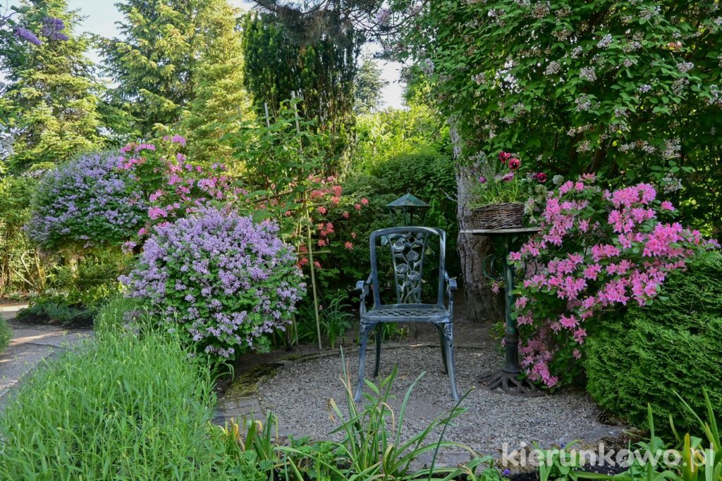 ogród zapachu ogrody hortulus dobrzyca ogrody tematyczne ogród francuski