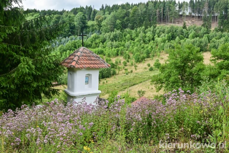 Muzeum Kultury Ludowej Pogórza Sudeckiego kapliczka trójboczna murowana