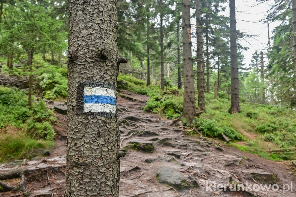 niebieski szlak turystyczny w górach stołowych