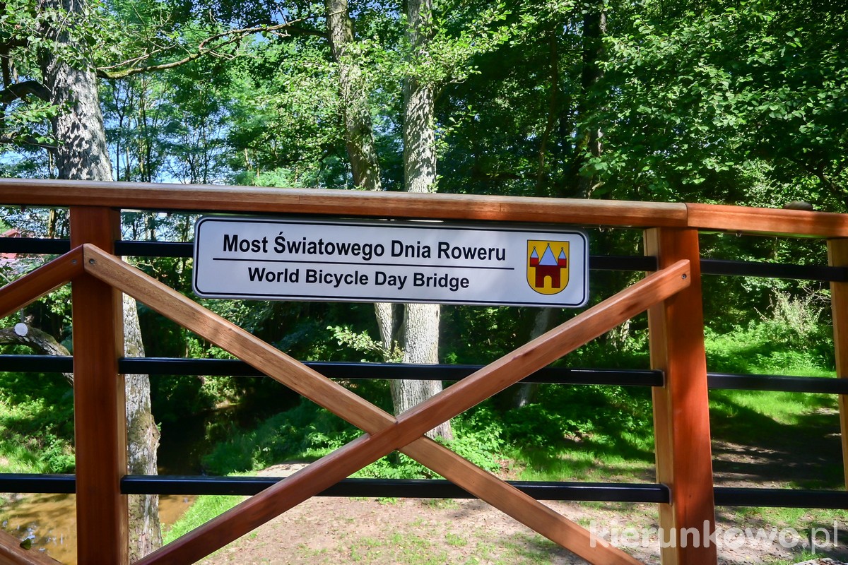 most światowego dnia roweru ścieżka rowerowa wilkowyja-bachorzew