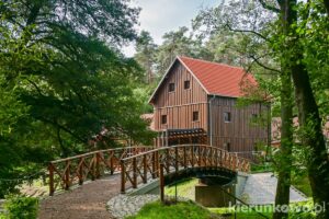 młyn nad lutynią wilkowyja jarocin