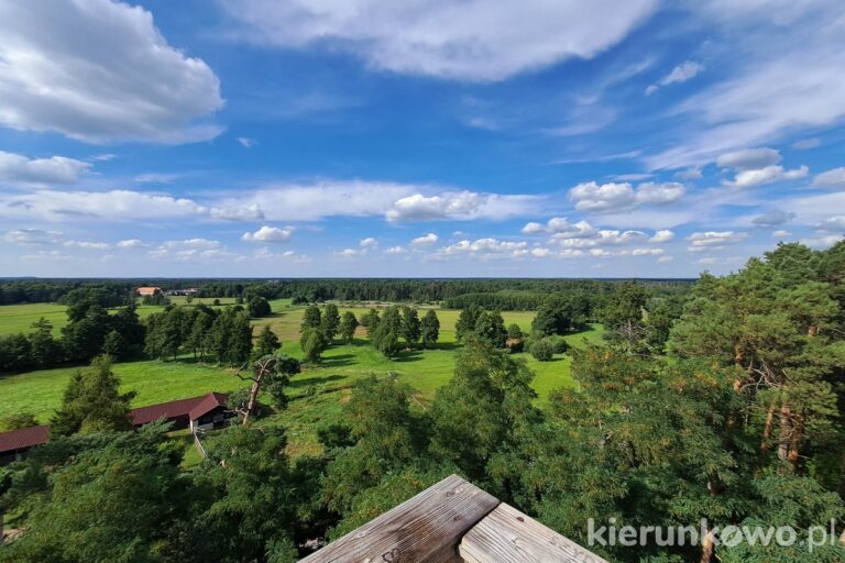 Wieża widokowa w Wolicy Koziej widok żerkowsko-czeszewski park krajobrazowy wielkopolska punkty widokowe w wielkopolsce