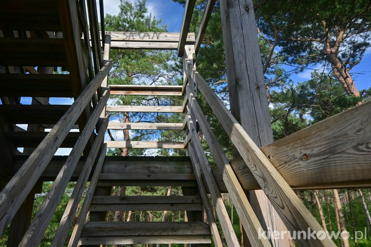 drewniane schody na wieżę widokową