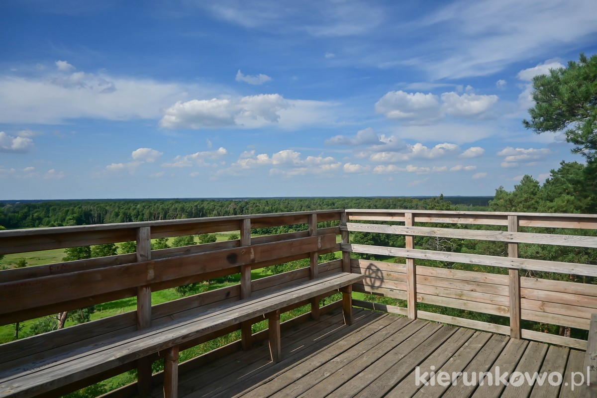 Wieża widokowa w Wolicy Koziej widok żerkowsko-czeszewski park krajobrazowy
