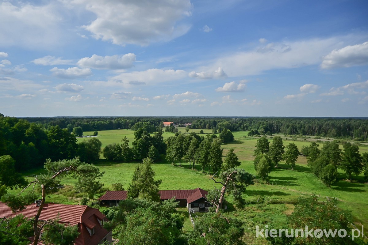 Wieża widokowa w Wolicy Koziej widok żerkowsko-czeszewski park krajobrazowy