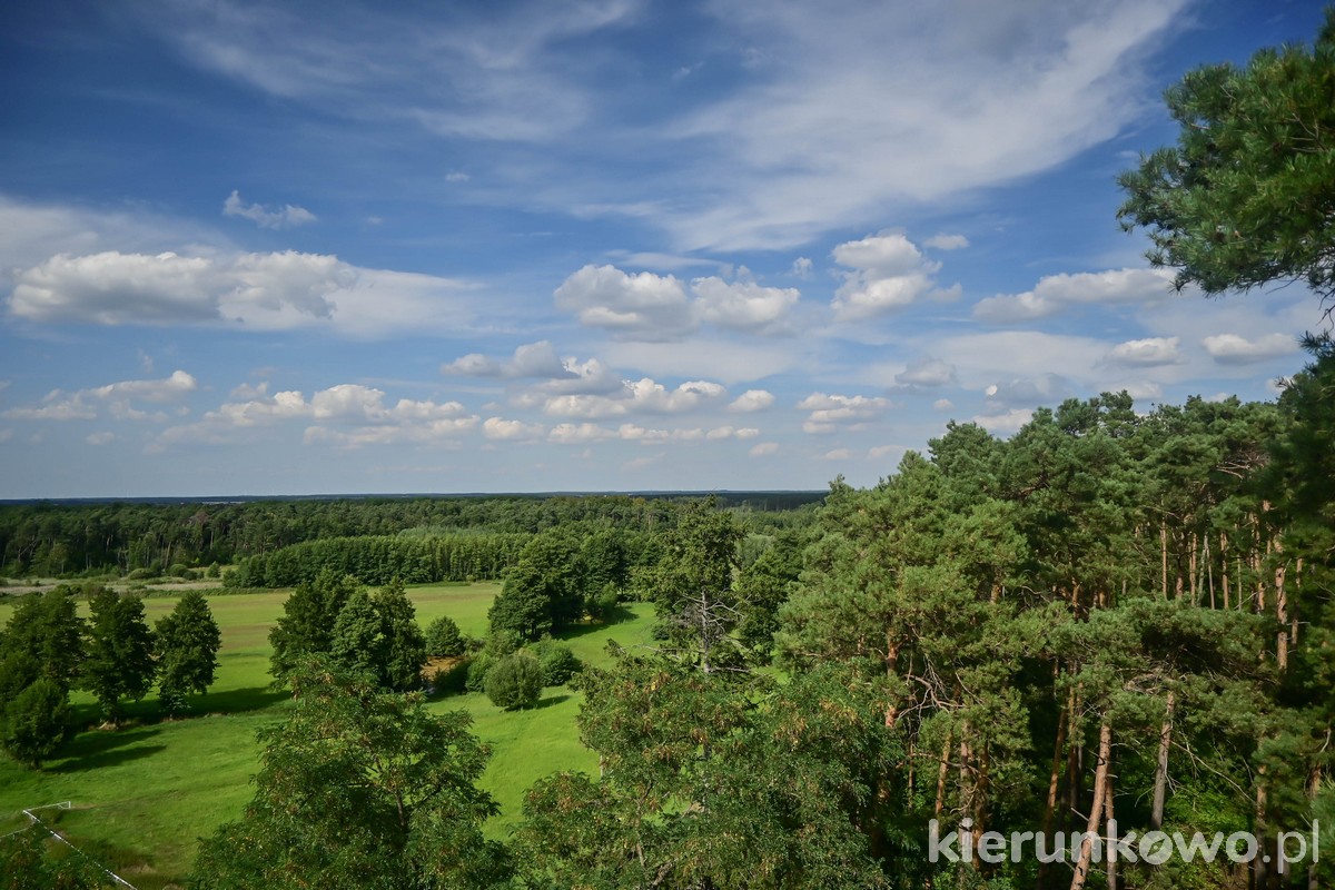 widok żerkowsko-czeszewski park krajobrazowy