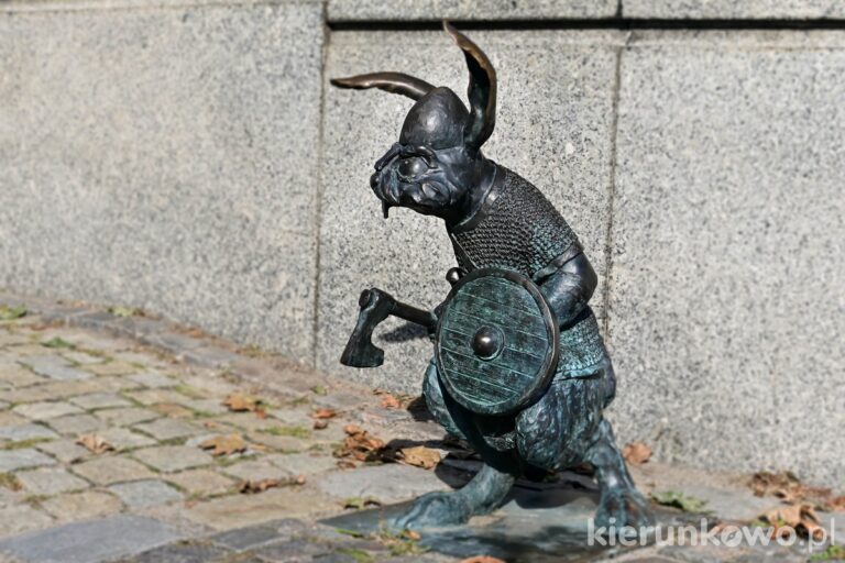 królik woj piastowski gniezno