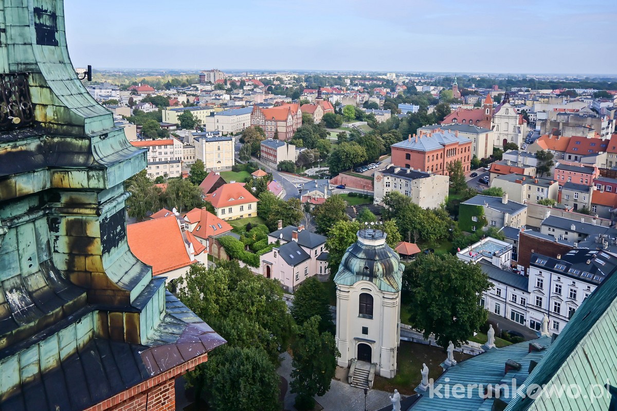 widok z wieży Bazylika prymasowska w Gnieźnie