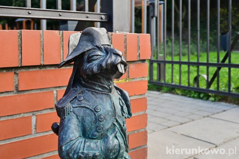 królik napoleon atrakcje gniezno