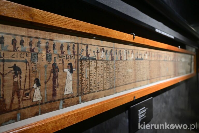 papirus Muzeum Archeologiczne w Poznaniu starożytny egipt hieroglify