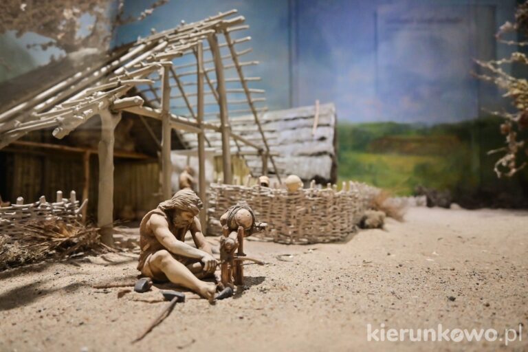 ekspozycja makieta diorama wielkopolska prehistoria muzeum poznań