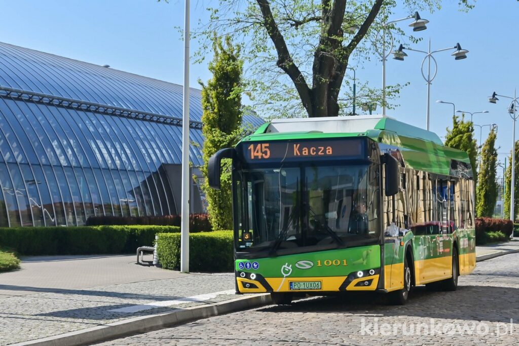 komunikacja miejska w poznaniu zielono żółte autobusy mpk poznań