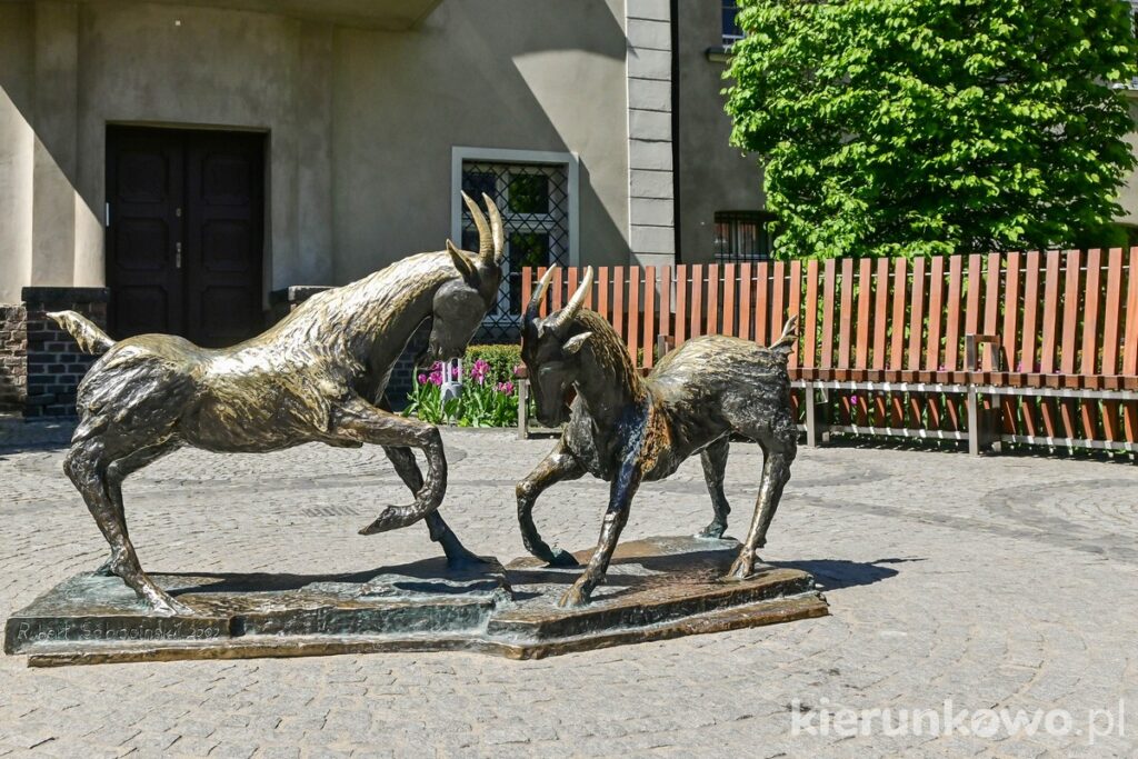 koziołki poznańskie rzeźba figurka posąg na placu kolegiackim