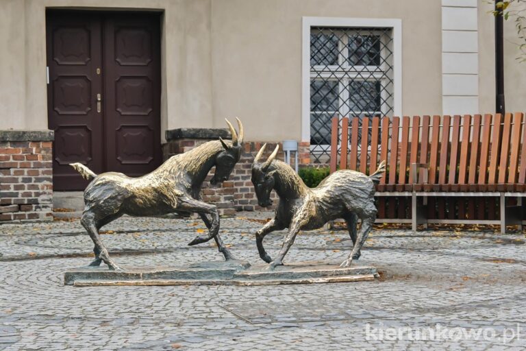 poznańskie koziołki na placu kolegiackim w poznaniu co warto zobaczyć w poznaniu