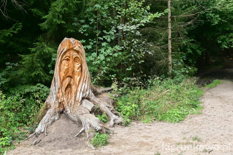 przełaczka Góry Sokole między sokolikiem dużym a krzyżną górą rzeźba w drzewie