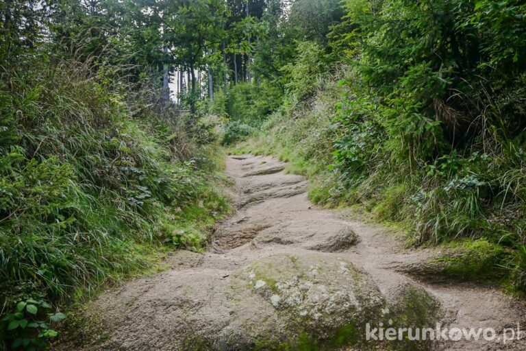 szlak czarny na krzyżną górę w górach sokolich
