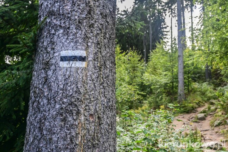 szlak czarny na krzyżną górę