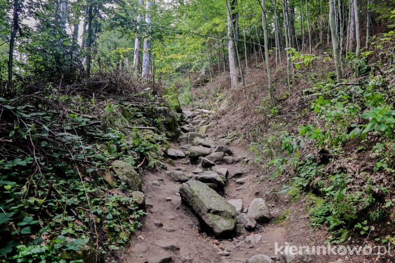 szlak czarny na krzyżną górę w rudawach janowickich
