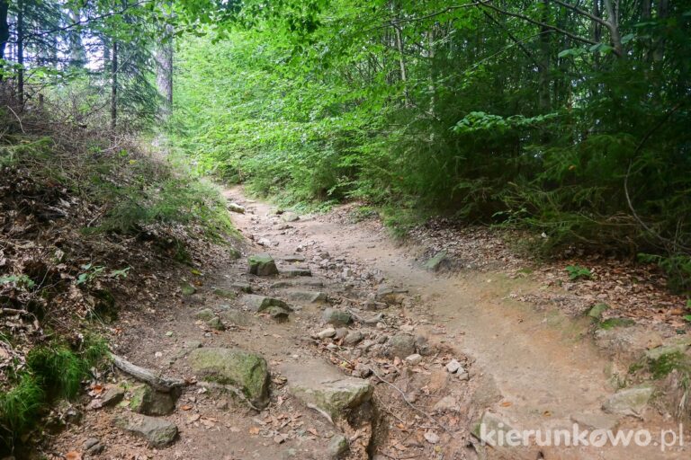 szlak niebieski zielony czerwony od schroniska szwajcarka