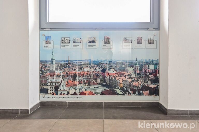 taras widokowy poznań zamek