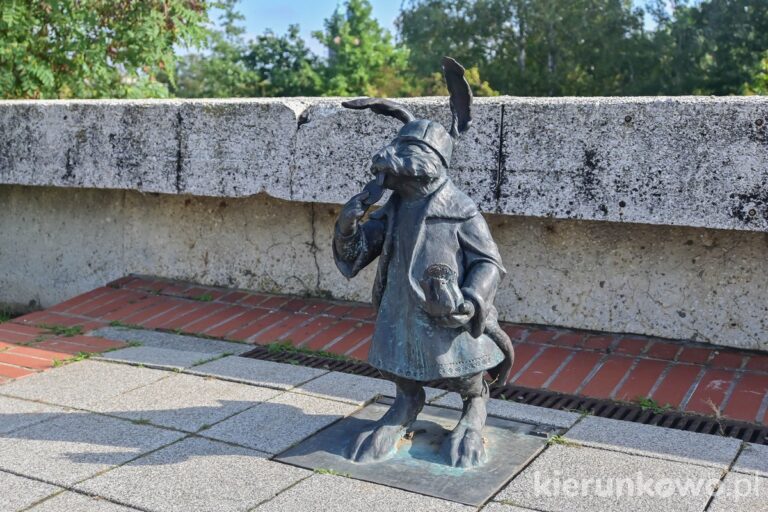 królik bogaty kupiec gniezno trakt królewski w gnieźnie